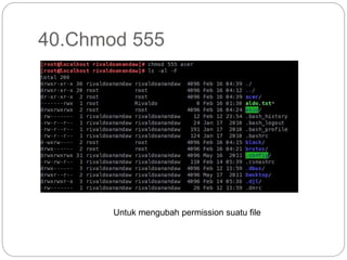 40.Chmod 555
Untuk mengubah permission suatu file
 