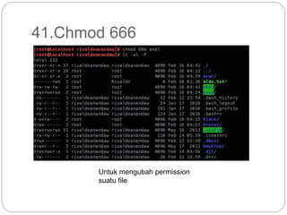 41.Chmod 666
Untuk mengubah permission
suatu file
 
