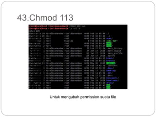 43.Chmod 113
Untuk mengubah permission suatu file
 