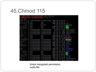 45.Chmod 115
Untuk mengubah permission
suatu file
 