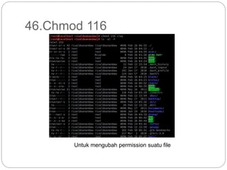 46.Chmod 116
Untuk mengubah permission suatu file
 