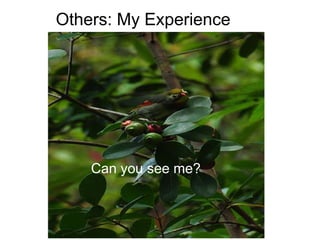 Others: My Experience Can you see me? 