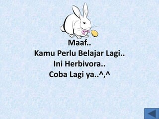 Maaf..
Kamu Perlu Belajar Lagi..
Ini Herbivora..
Coba Lagi ya..^,^