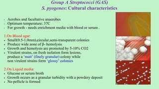 Group A Streptococci (GAS)
S. pyogenes: Cultural characteristics
• Aerobes and facultative anaerobes
• Optimum temperature: 37C
• For growth - needs enrichment media with blood or serum .
1.On Blood agar:
 Small(0.5-1.0mm),circular,semi-transparent colonies
 Produce wide zone of β- hemolysis
 Growth and hemolysis are promoted by 5-10% CO2
 Virulent strains, on fresh isolation form lesions,
produce a ‘matt’ (finely granular) colony while
non virulent strains form ‘glossy’ colonies
2.On Liquid media:
 Glucose or serum broth
 Growth occurs as a granular turbidity with a powdery deposit
 No pellicle is formed
 