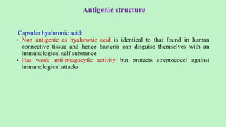 Antigenic structure
Capsular hyaluronic acid:
• Non antigenic as hyaluronic acid is identical to that found in human
connective tissue and hence bacteria can disguise themselves with an
immunological self substance
• Has weak anti-phagocytic activity but protects streptococci against
immunological attacks
 