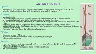Antigenic structure
F-protein
 Recognizes host fibronectin, a matrix protein that is present in eukaryotic cells. Hence
helps in attachment together with lipoteichoic acid and M protein
M protein
 Most antigenic
 Covered with lipoteichoic acid that enable the organism to attach to epithelial cell
 M protein is heat and acid stable but susceptible to tryptic digestion
 On the basis of antigenic difference in M protein, S. pyogenes can be divided into about 100
types
 The most distal part of M protein shows extensive variability among strains hence
individual may suffer from recurrent S. pyogenes infections with strains expressing different
versions of M protein.
 Acts as a virulence factor by inhibiting phagocytosis
T-Protein
• Common to many M- types
• Not associated with virulence and is not a protective antigen
• It is strongly antigenic
R protein
• Non-type-specific and is associated with M- proteins of types 2,3 28 and 48 known as M-
associated protein (MAP)
• Not associated to virulence and not a protective antigen
• Strongly antigenic
 