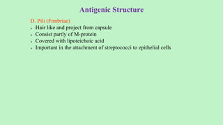 Antigenic Structure
D. Pili (Fimbriae)
 Hair like and project from capsule
 Consist partly of M-protein
 Covered with lipoteichoic acid
 Important in the attachment of streptococci to epithelial cells
 