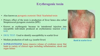 Erythrogenic toxin
• Also known as pyrogenic exotoxin/ Dick/ Scarlatinal toxin
• Primary effect of the toxin is production of fever hence also called
Streptococcal pyrogenic exotoxin (SPE)
• Known as erythrogenic because its intradermal injection into
susceptible individuals produced an erythematous reaction (Dick
test)
• DICK TEST- Used to identify susceptibility to scarlet fever
• Mediate production of rash e.g. (scarlet fever)
• SUPERANTIGENS hence massive release of cytokines occur that
leads to variety of clinical signs including inflammation, shock and
organ failure
Rash in scarlet fever
 