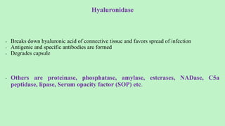 Hyaluronidase
• Breaks down hyaluronic acid of connective tissue and favors spread of infection
• Antigenic and specific antibodies are formed
• Degrades capsule
• Others are proteinase, phosphatase, amylase, esterases, NADase, C5a
peptidase, lipase, Serum opacity factor (SOP) etc.
 