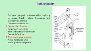 Pathogenicity
 Produces pyrogenic infection with a tendency
to spread locally, along lymphatics and
through blood stream
 Disease caused can be:
1. Suppurative diseases:
a. Respiratory infections
b. Skin and soft tissue infections
c. Genital infections
2. Non suppurative sequelae:
a. Acute rheumatic fever
b. Acute glomerulonephritis
 