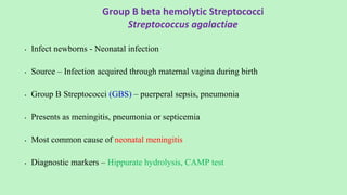 Group B beta hemolytic Streptococci
Streptococcus agalactiae
• Infect newborns - Neonatal infection
• Source – Infection acquired through maternal vagina during birth
• Group B Streptococci (GBS) – puerperal sepsis, pneumonia
• Presents as meningitis, pneumonia or septicemia
• Most common cause of neonatal meningitis
• Diagnostic markers – Hippurate hydrolysis, CAMP test
 