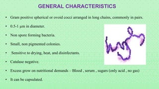 • Gram positive spherical or ovoid cocci arranged in long chains, commonly in pairs.
• 0.5-1 µm in diameter.
• Non spore forming bacteria.
• Small, non pigmented colonies.
• Sensitive to drying, heat, and disinfectants.
• Catalase negative.
• Excess grow on nutritional demands – Blood , serum , sugars (only acid , no gas)
• It can be capsulated.
GENERAL CHARACTERISTICS
 