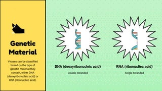 Genetic
Material
Viruses can be classified
based on the type of
genetic material they
contain, either DNA
(deoxyribonucleic acid) or
RNA (ribonucliec acid).
DNA (deoxyribonucleic acid)
Double Stranded
RNA (ribonucliec acid)
Single Stranded
 