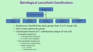 Serological Lancefield Classification:
• Streptococci classified into many groups from A to V except I &J
• One or more species per group
• Classification based on C- carbohydrate antigen of cell wall
– Groupable streptococci
• A, B and D (more frequent)
• C, G and F (Less frequent)
– Non-groupable streptococci
• S. pneumoniae (pneumonia)
• viridans streptococci
– e.g. S. mutans
– Causing dental carries
Streptococci
Group A
S. pyogenes
Group B
S. agalactiae
Group C
S. equisimitis
Group D
Enterococcus
Lanciefield classification
Other groups
(E-U)
 