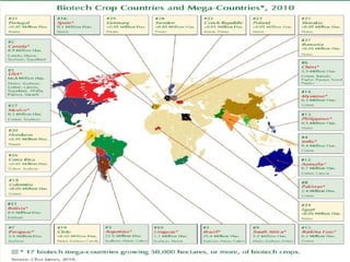 The experience of the Biotech Coalition in the Philippines?