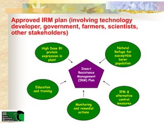 The experience of the Biotech Coalition in the Philippines?