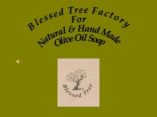 Blessed Tree Factory  For  Natural & Hand Made  Olive Oil Soap  
