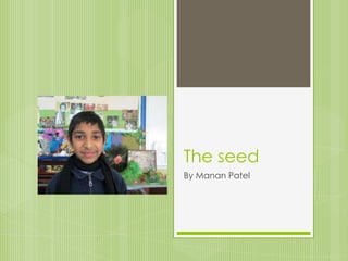 The seed
By Manan Patel
 