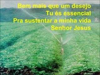 Bem mais que um desejo
Tu és essencial
Pra sustentar a minha vida
Senhor Jesus
 