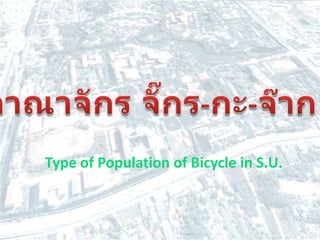 อาณาจักร จั๊กร-กะ-จ๊าก Type of Population of Bicycle in S.U. 