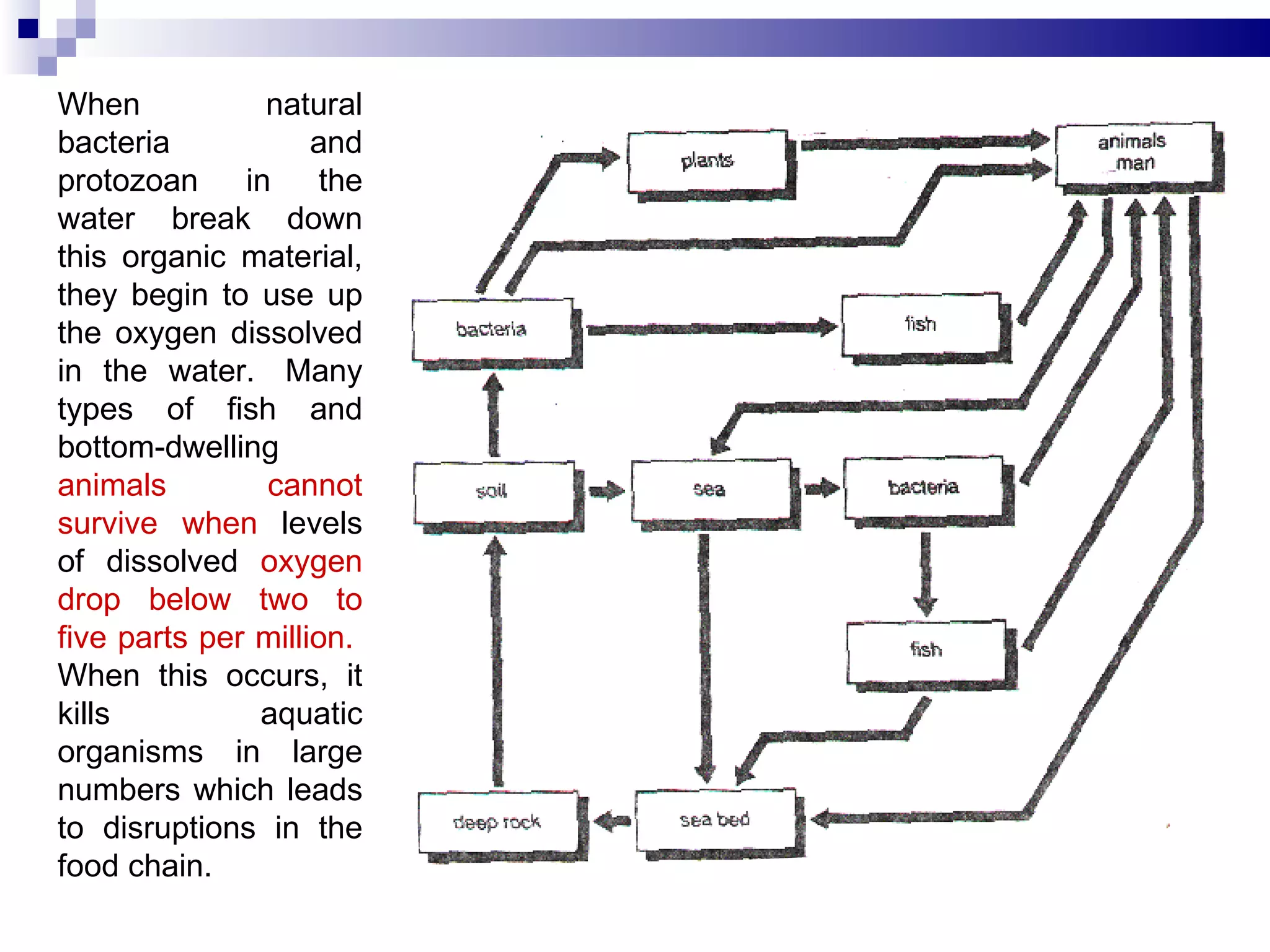 When natural bacteria and protozoan in the water break down this organic material, they begin to use up the oxygen dissolved in the water.  Many types of fish and bottom-dwelling  animals cannot survive   when  levels of dissolved  oxygen drop below   two to five parts per million.   When this occurs, it kills aquatic organisms in large numbers which leads to disruptions in the food chain.  