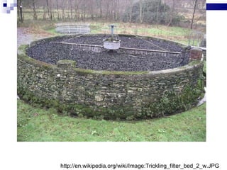 http://en.wikipedia.org/wiki/Image:Trickling_filter_bed_2_w.JPG 