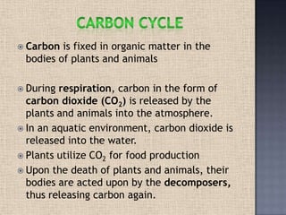  Carbon is fixed in organic matter in the
bodies of plants and animals
 During respiration, carbon in the form of
carbon dioxide (CO2) is released by the
plants and animals into the atmosphere.
 In an aquatic environment, carbon dioxide is
released into the water.
 Plants utilize CO2 for food production
 Upon the death of plants and animals, their
bodies are acted upon by the decomposers,
thus releasing carbon again.
 