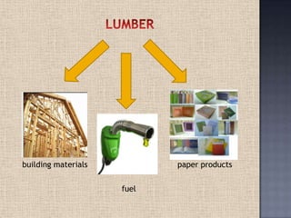building materials paper products
fuel
 