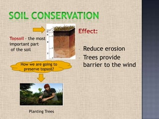 – the most
important part
of the soil
Planting Trees
- Reduce erosion
- Trees provide
barrier to the windHow we are going to
preserve topsoil?
 