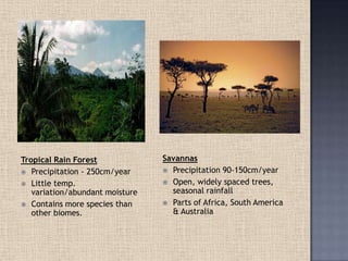 Tropical Rain Forest
 Precipitation - 250cm/year
 Little temp.
variation/abundant moisture
 Contains more species than
other biomes.
Savannas
 Precipitation 90-150cm/year
 Open, widely spaced trees,
seasonal rainfall
 Parts of Africa, South America
& Australia
 