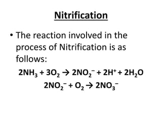 Nitrification O2 Comprehensive Overview of Man and His Environment: Biogeochemical ...