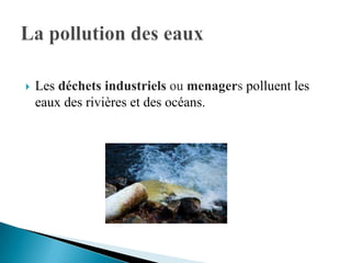 

Les déchets industriels ou menagers polluent les
eaux des rivières et des océans.

 