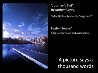 “Journey’s End”by nathanhayag“MacRitchie Reservoir, Singapore”Geo-data encoded in the image file:1°22'18”N103°49'27"EA picture says a thousand words