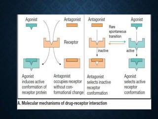 MECHANISM OF ACTION OF DRUGS | PPTX