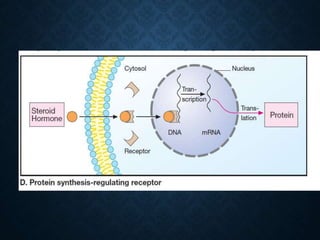 MECHANISM OF ACTION OF DRUGS | PPTX