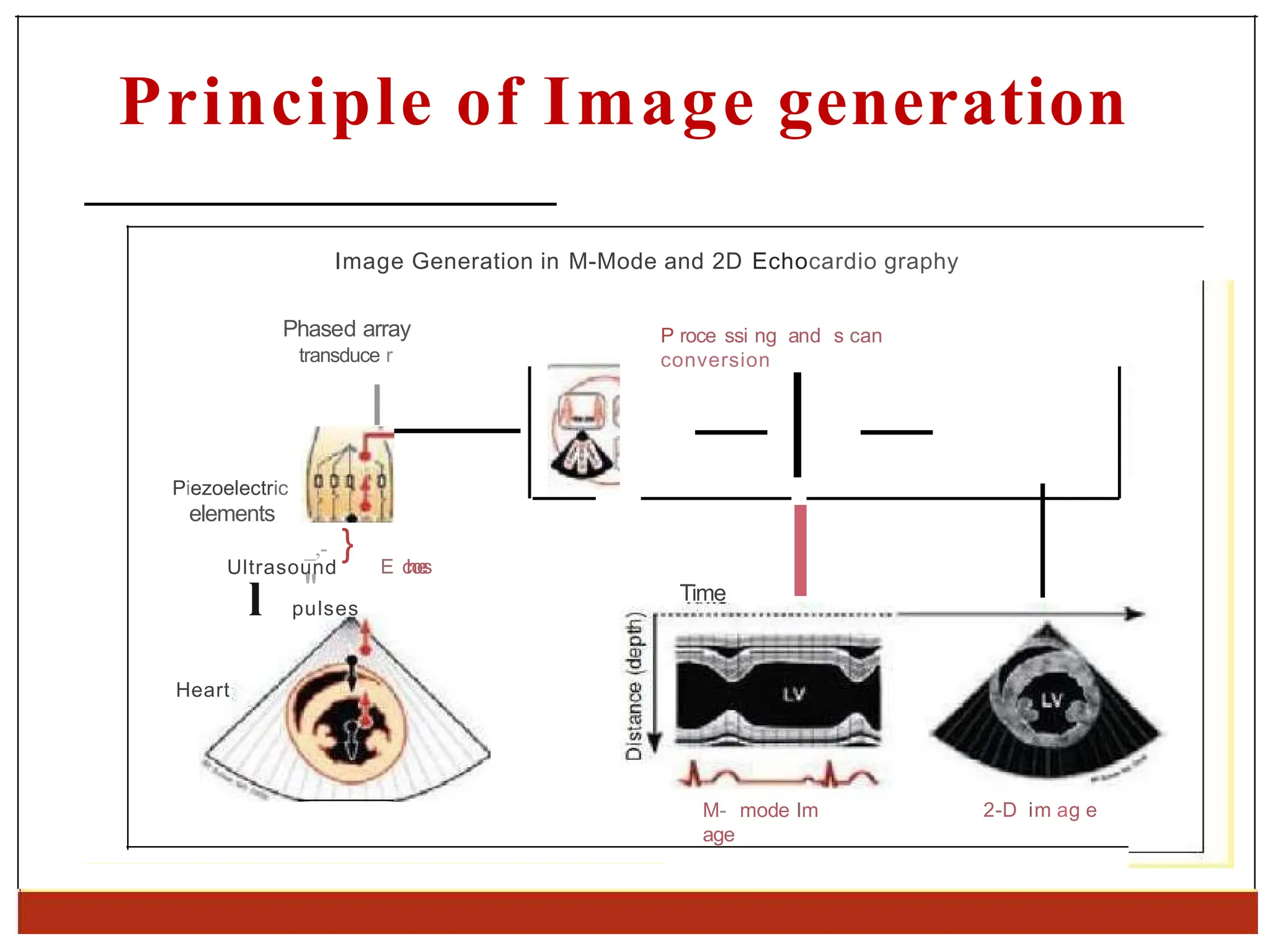 Principle of Image generation
Image Generation in M-Mode and 2D Echocardio graphy
Phased array
transduce r
P roce ssi ng and s can
conversion
l
Piezoelectric
elements
_,- }
"­
E c
h
o
e
s
Ultrasound
l pulses
Heart
Time I
M- mode Im
age
2-D im ag e
 