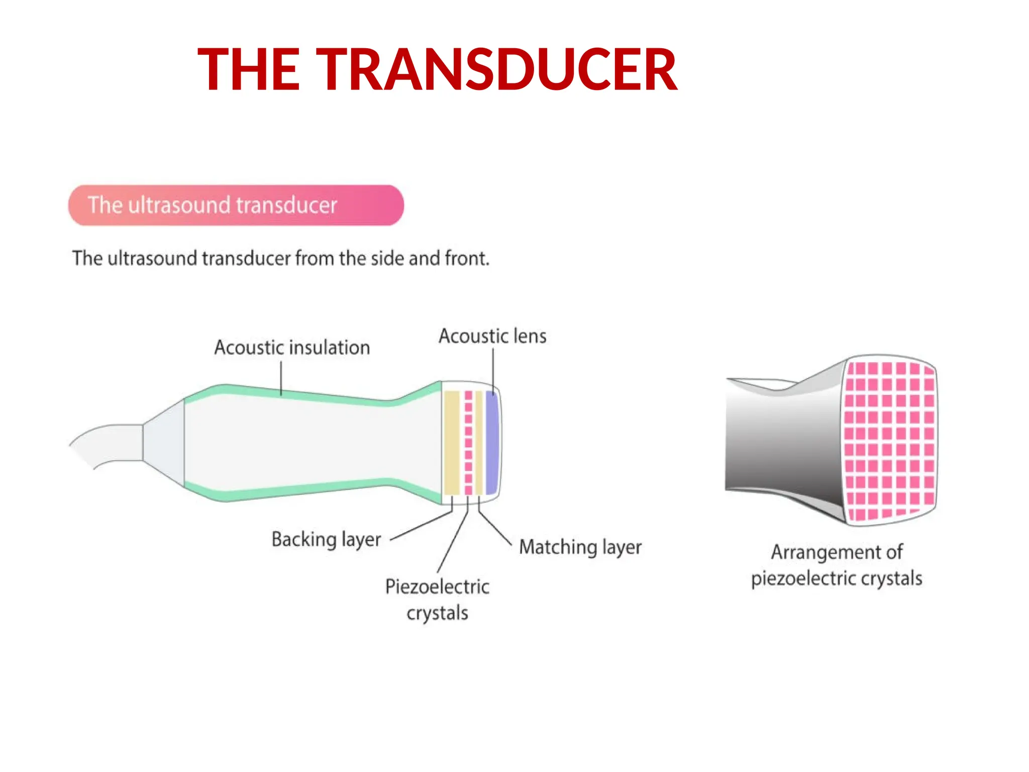 THE TRANSDUCER
 