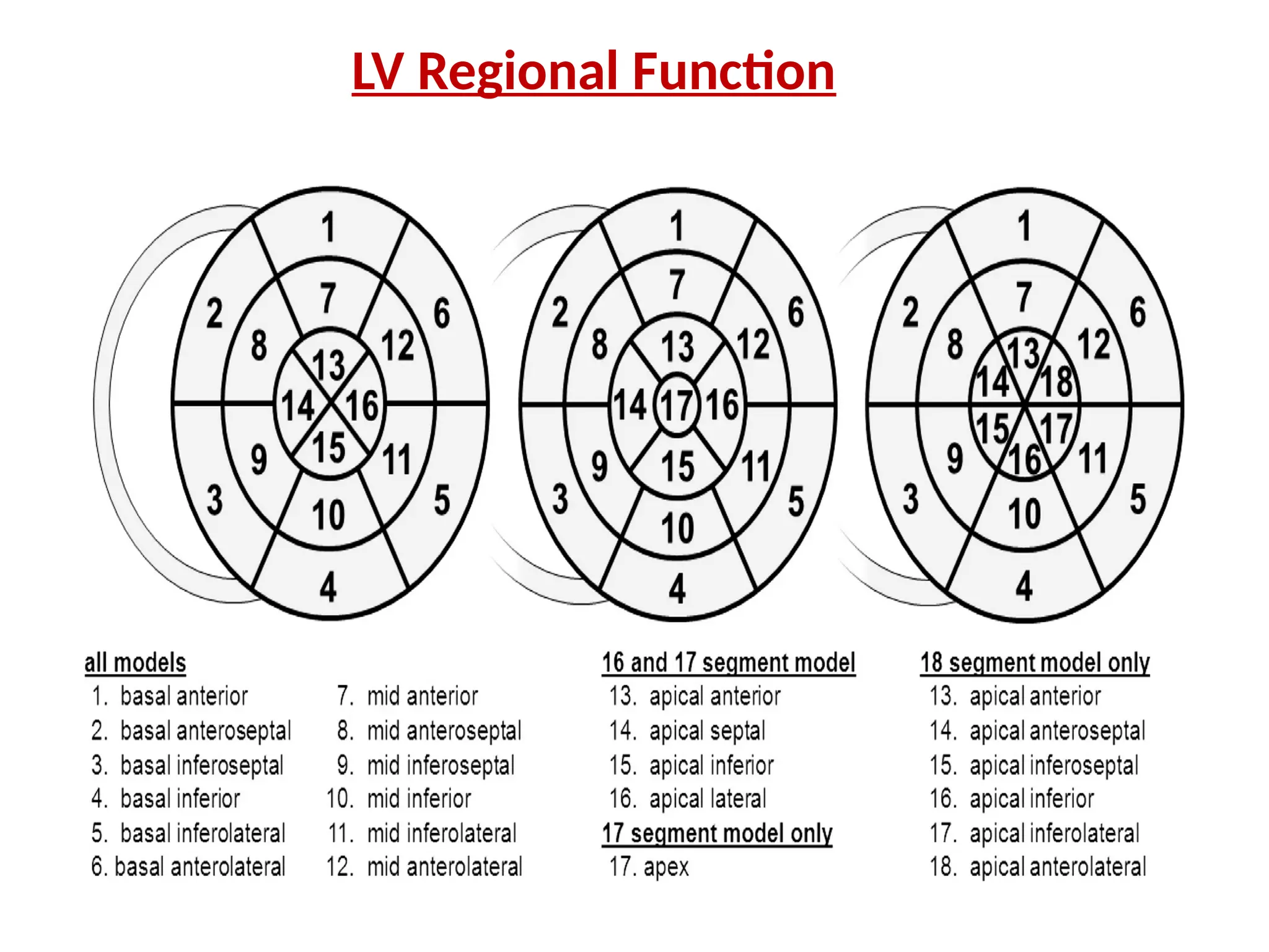 LV Regional Function
 