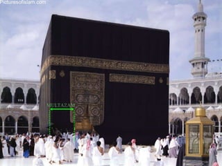 SHALAT 2 RAKAATDI BELAKANG MAQAM IBRAHIMSebelum Shalat Membaca :أَعُوْذُ بِاللهِ مِنَ الشَّيْطَانِ الرَّجِيْمِبِسْمِ اللهِ الرَّحْمَنِ الرَّحِيْمِوَاتَّخِذُوْا مِنْ مَقَامِ إِبْرَاهِيْمَ مُصَلَّىRakaat Pertama membaca :Al Fatihah dan Al KafirunRakaat Kedua membaca :Al Fatihah dan Al IkhlasSelesai shalat berdoa 