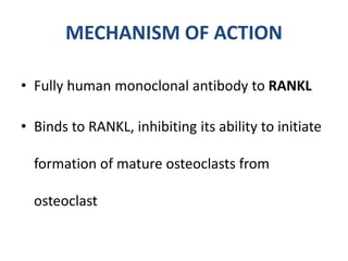 MECHANISM OF ACTION
• Fully human monoclonal antibody to RANKL
• Binds to RANKL, inhibiting its ability to initiate
formation of mature osteoclasts from
osteoclast
 