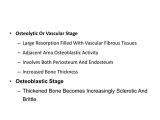 • Osteolytic Or Vascular Stage
– Large Resorption Filled With Vascular Fibrous Tissues
– Adjacent Area Osteoblastic Activity
– Involves Both Periosteum And Endosteum
– Increased Bone Thickness
• Osteoblastic Stage
– Thickened Bone Becomes Increasingly Sclerotic And
Brittle
 