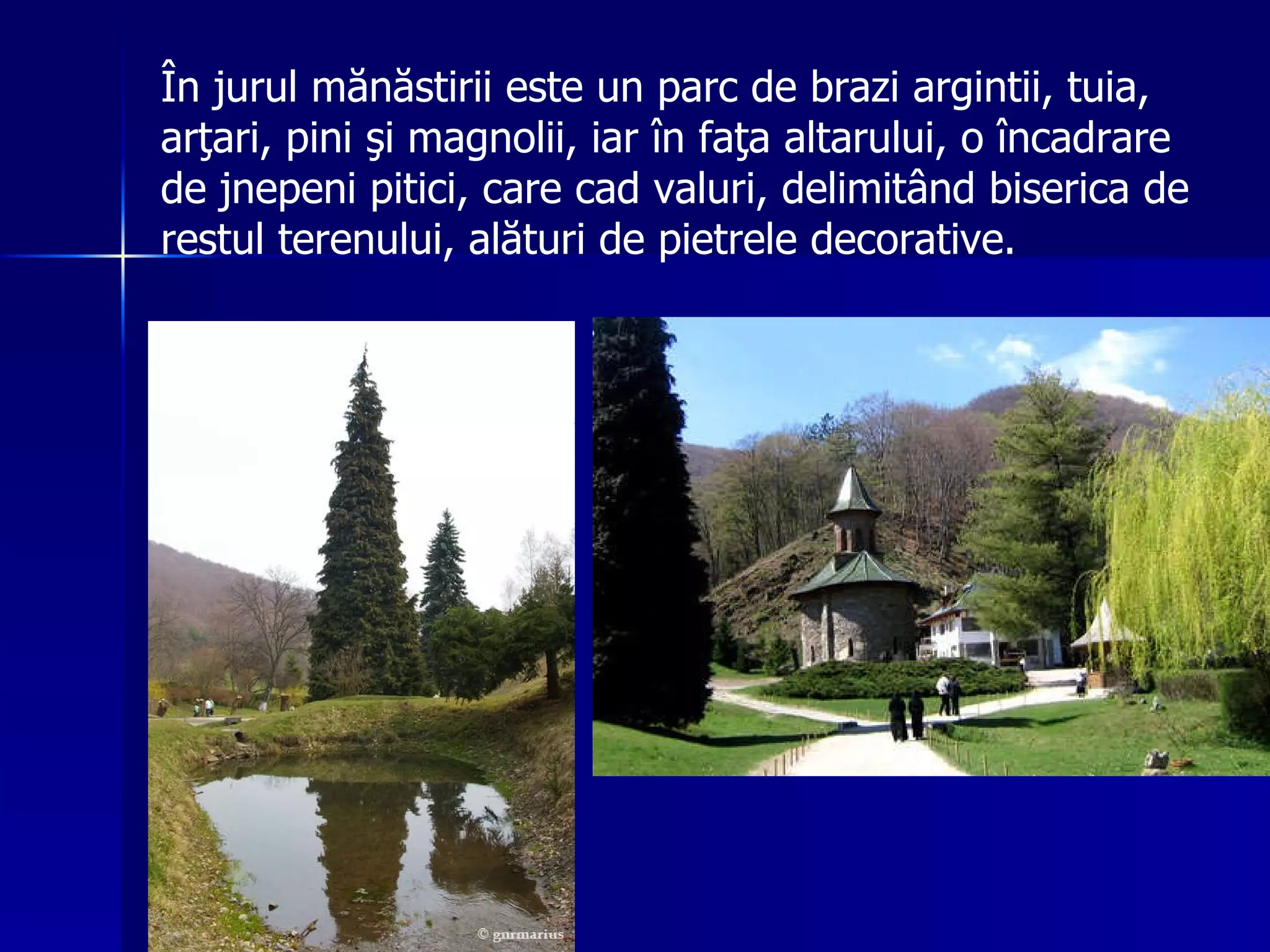 În jurul mănăstirii este un parc de brazi argintii, tuia, arţari, pini şi magnolii, iar în faţa altarului, o încadrare de jnepeni pitici, care cad valuri, delimitând biserica de restul terenului, alături de pietrele decorative. 