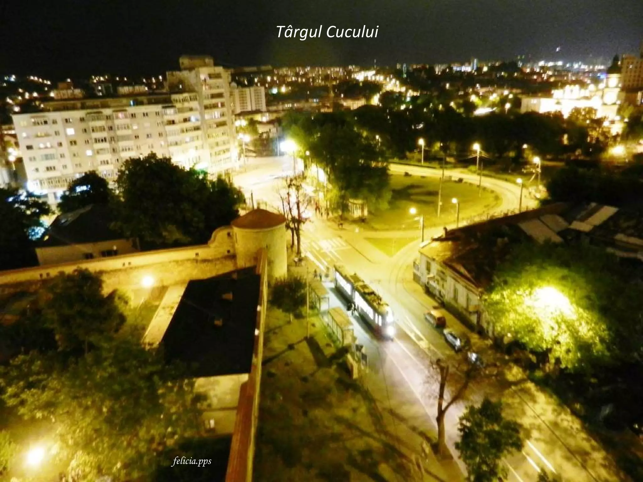 Târgul Cucului




felicia.pps
 