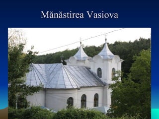 Mănăstirea Vasiova 