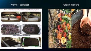 Vermi - compost Green manure