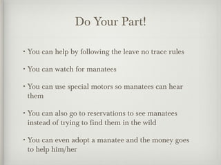 Manatee | PPT