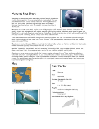 Manatee Fact Sheet:
Manatees are sometimes called sea cows, and their languid pace lends
merit to the comparison. However, despite their massive bulk, they are
graceful swimmers in coastal waters and rivers. Powering themselves
with their strong tails, manatees typically glide along at 5 miles (8
kilometers) an hour but can swim 15 miles (24 kilometers) an hour in
short bursts.

Manatees are usually seen alone, in pairs, or in small groups of a half dozen or fewer animals. From above the
water's surface, the animal's nose and nostrils are often the only thing visible. Manatees never leave the water but,
like all marine mammals, they must breathe air at the surface. A resting manatee can remain submerged for up to 15
minutes, but while swimming, it must surface every three or four minutes.
There are three species of manatee, distinguished primarily by where they live. One manatee population ranges
along the North American east coast from Florida to Brazil. Other species inhabit the Amazon River and the west
coast and rivers of Africa.

Manatees are born underwater. Mothers must help their calves to the surface so that they can take their first breath,
but the infants can typically swim on their own only an hour later.

Manatee calves drink their mothers' milk, but adults are voracious grazers. They eat water grasses, weeds, and
algae—and lots of them. A manatee can eat a tenth of its own massive weight in just 24 hours.

Manatees are large, slow-moving animals that frequent coastal waters and rivers. These attributes make them
vulnerable to hunters seeking their hides, oil, and bones. Manatee numbers declined throughout the last century,
mostly because of hunting pressure. Today, manatees are endangered. Though protected by laws, they still face
threats. The gentle beasts are often accidentally hit by motorboats in ever more crowded waters, and sometimes
become entangled in fishing nets.

Map
                                                              Fast Facts
                                                              Type:
                                                                        Mammal
                                                              Diet:
                                                                        Herbivore
                                                              Average life span in the wild:
                                                                     40 years
Manatee Range                                                 Size:
                                                                        8 to 13 ft (2.4 to 4 m)
                                                              Weight:
                                                                        440 to 1,300 lbs (200 to 600 kg)
                                                              Protection status:
                                                                      Endangered
                                                              Size relative to a 6-ft (2-m) man:
 