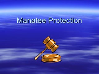 Manatee Protection 