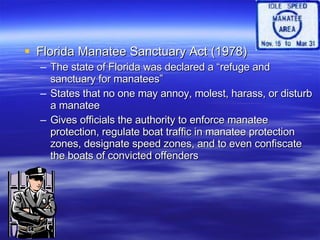 Manatee Powerpoint | PPT