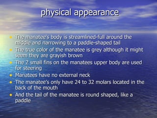 Manatees | PPT